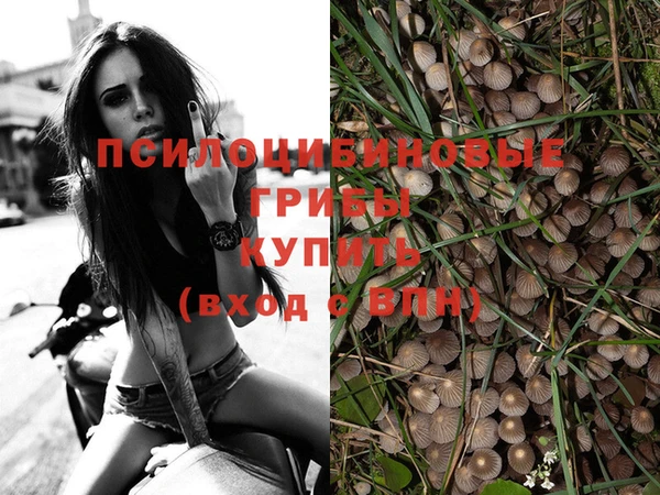 кокаин премиум Верея