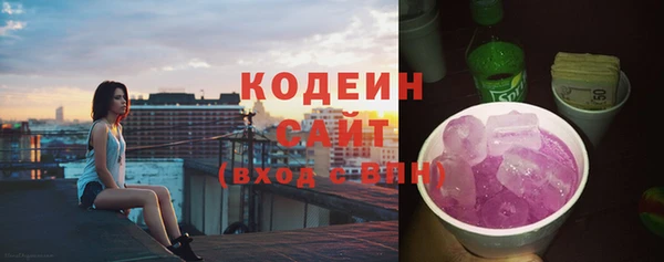дмт Богородск