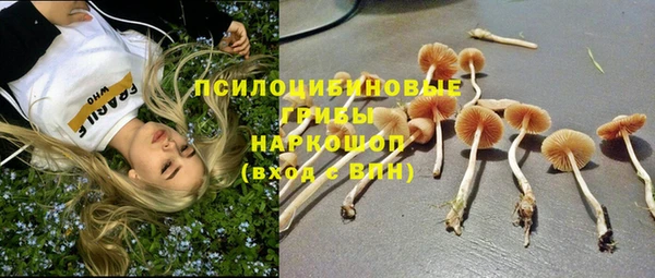 трава Белоозёрский