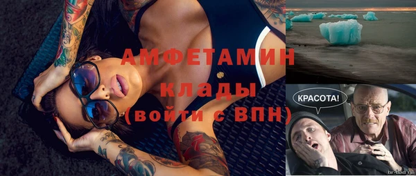 прущие грибы Верхний Тагил