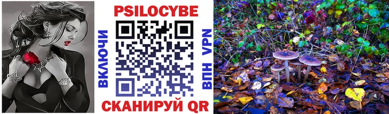 Галлюциногенные грибы Cubensis Буинск